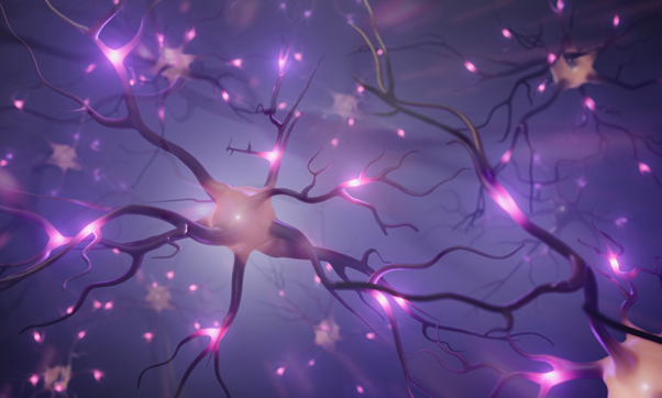 4 signals AI will continue to be a narrative in 2025